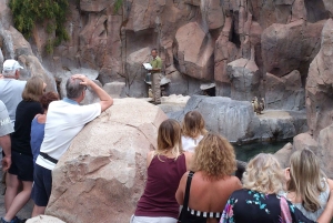 Arona : billet d'entrée au zoo Jungle Park de Tenerife