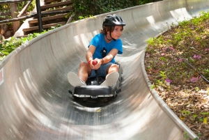 Arona : billet d'entrée au zoo Jungle Park de Tenerife