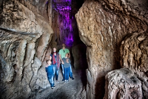 Arona : billet d'entrée au zoo Jungle Park de Tenerife