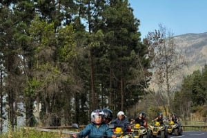 Ascend to Teide National Park on a quad bike from Puerto de la Cruz.