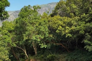 Ascend to Teide National Park on a quad bike from Puerto de la Cruz.