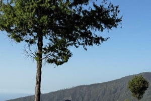 Ascend to Teide National Park on a quad bike from Puerto de la Cruz.