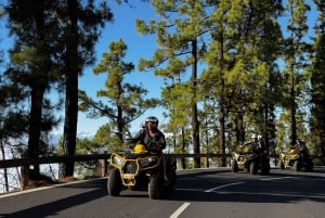 Asciende al Parque Nacional del Teide en Quad desde el Puerto de la Cruz.