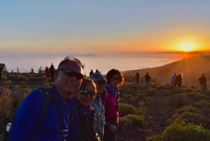 Expérience astronomique sur le Teide avec coucher de soleil, observation des étoiles et dîner