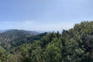 Balades Découverte Anaga & La Laguna