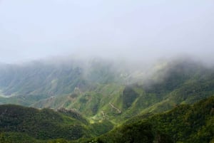 Balades Découverte Anaga & La Laguna