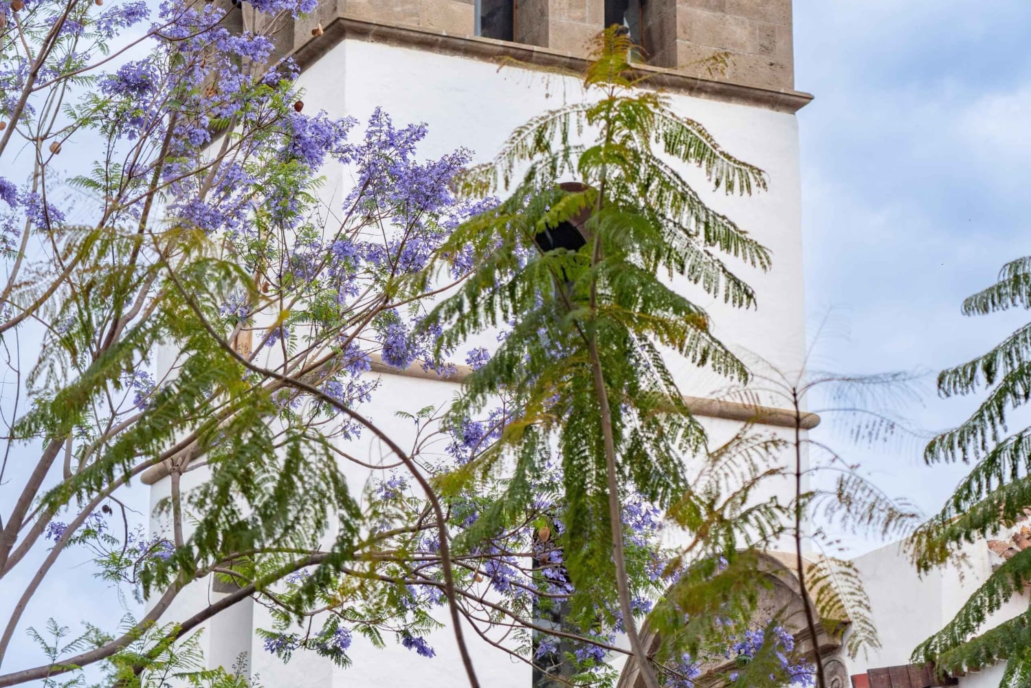 Balades Découverte Teide - La Orotava - Icod de los Vinos