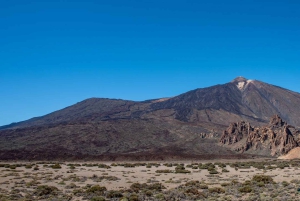 Balades Découverte Teide - La Orotava - Icod de los Vinos