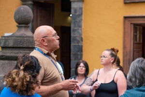 Balades Découverte Teide - La Orotava - Icod de los Vinos