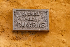 Balades Découverte Teide - La Orotava - Icod de los Vinos