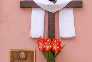 Balades Découverte Teide - La Orotava - Icod de los Vinos