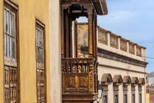 Balades Découverte Teide - La Orotava - Icod de los Vinos