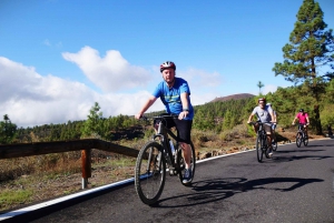 Barranco Inferno Ride - Electric Bike Tour