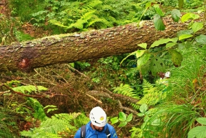 Barranquismo Anaga Tenerife