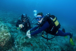 Inmersión para principiantes con Scubapoint Tenerife en la Zona de las Tortugas
