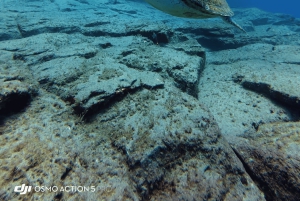 Inmersión para principiantes con Scubapoint Tenerife en la Zona de las Tortugas