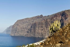 Best of Tenerife Guided Tour