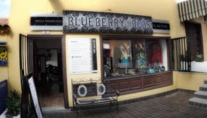 Blueberry Bobs