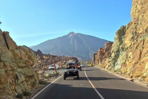 Buggytoer Vulkaan Teide in Nationaal Park Teide, Kleine groep