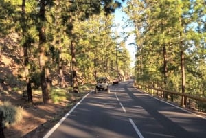 Buggytoer Vulkaan Teide in Nationaal Park Teide, Kleine groep