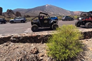 Buggytoer Vulkaan Teide in Nationaal Park Teide, Kleine groep