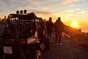 Buggytoer Vulkaan Teide in Nationaal Park Teide, Kleine groep