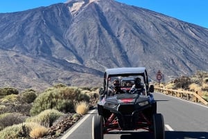 Buggy Tour Volcano Teide with Wine Degustation