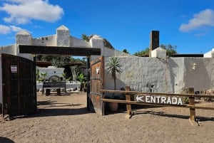 Expérience à dos de chameau