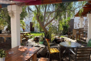 Expérience à dos de chameau