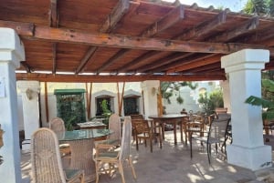 Expérience à dos de chameau