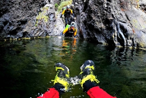 Tenerife: Guided Water Canyoning Experience