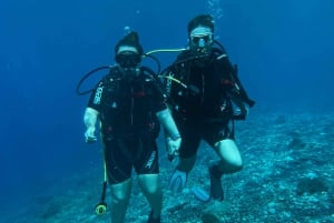 Candelaria : Try diving for the first time