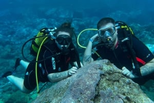 Candelaria : Try diving for the first time