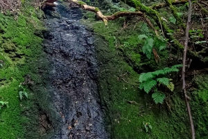 Tenerife : Canyoning Anaga