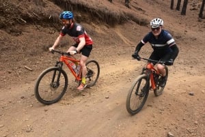 Chinyero Fire - EMTB/MTB Tour