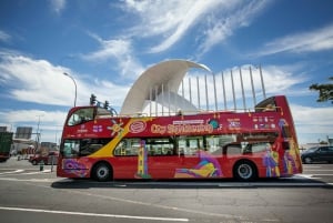 Visite touristique de la ville : Santa Cruz de Tenerife Visite en bus HOHO