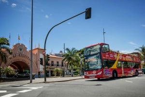 Visite touristique de la ville : Santa Cruz de Tenerife Visite en bus HOHO