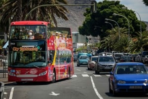 Visite touristique de la ville : Santa Cruz de Tenerife Visite en bus HOHO