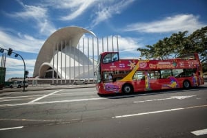 Visite touristique de la ville : Santa Cruz de Tenerife Visite en bus HOHO