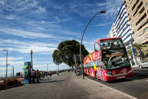 Visite touristique de la ville : Santa Cruz de Tenerife Visite en bus HOHO