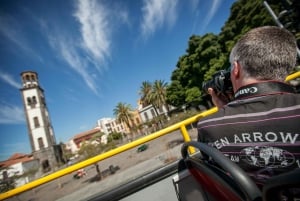 Visite touristique de la ville : Santa Cruz de Tenerife Visite en bus HOHO