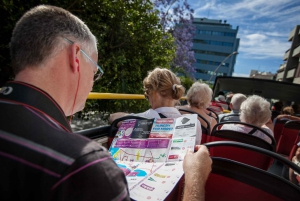 Visite touristique de la ville : Santa Cruz de Tenerife Visite en bus HOHO