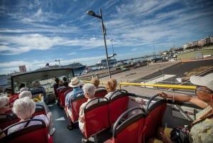 Visite touristique de la ville : Santa Cruz de Tenerife Visite en bus HOHO