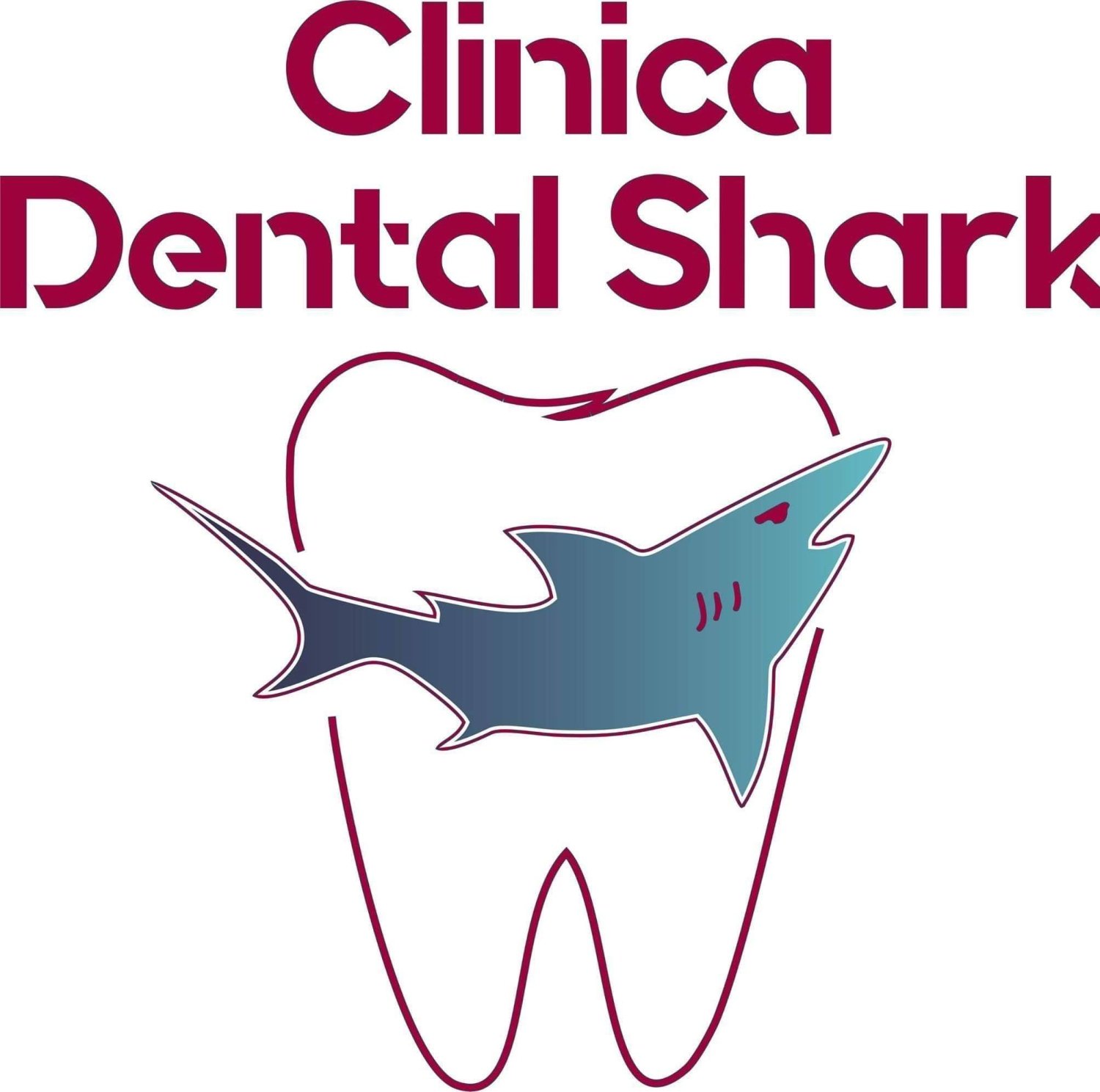 Clinica Dental Shark