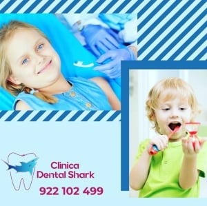 Clinica Dental Shark