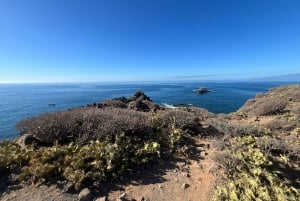 Coast to coast of southern Tenerife on foot