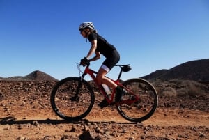 Coastal Tracks - EMTB/MTB Tour