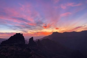 Collective Adventure: Travel & Volunteer in Tenerife