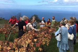 Kollektiivinen seikkailu: Tenerife: Matkailu ja vapaaehtoistyö