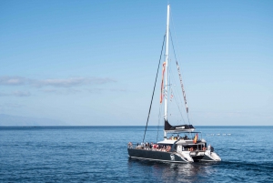 Costa Adeje: 3-Hour Whale Watching Tour with Food and Drinks